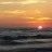 Pumark_01